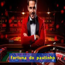 fortuna do paulinho do roupa nova